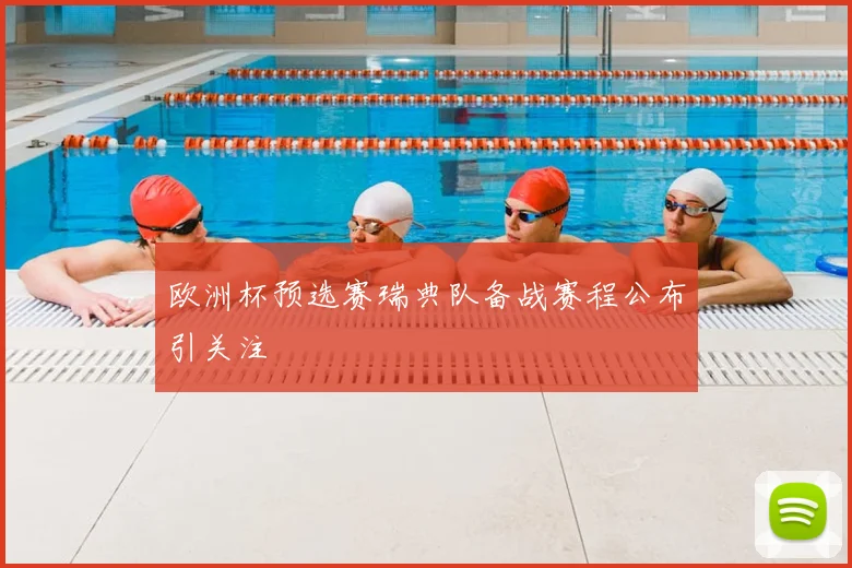 欧洲杯预选赛瑞典队备战赛程公布引关注