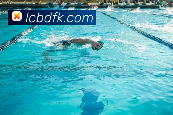 k1体育app官方APP 高清赛事图